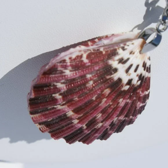 Red Sea Glass set with Pecten Sea Shell - Picture 5 of 6